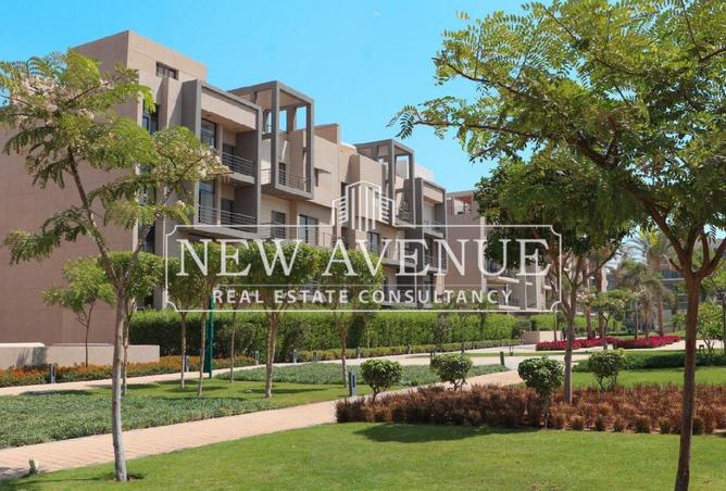 8245421 - Property Image 2