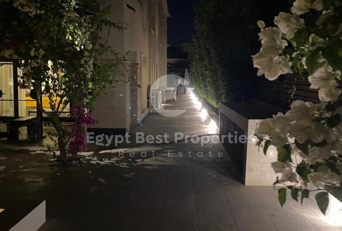 7905977 - صورة العقار 3