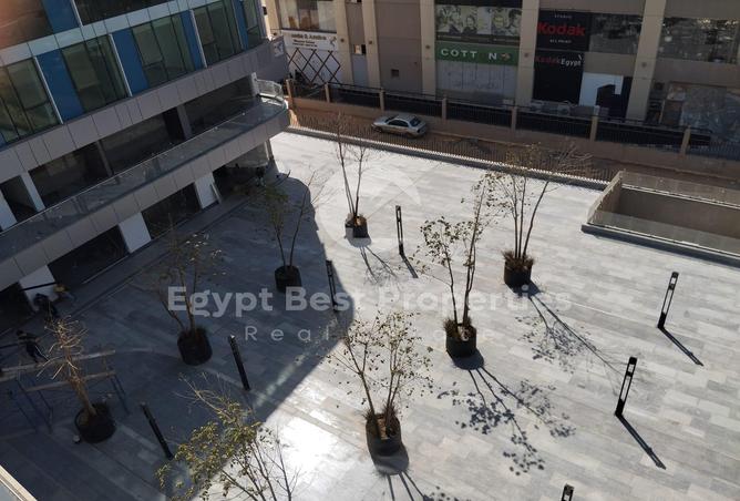 7977277 - Property Image 3