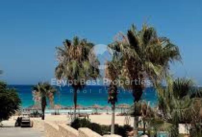 8241871 - Property Image 2