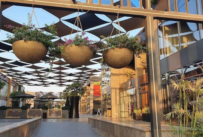 8222737 - صورة العقار 3