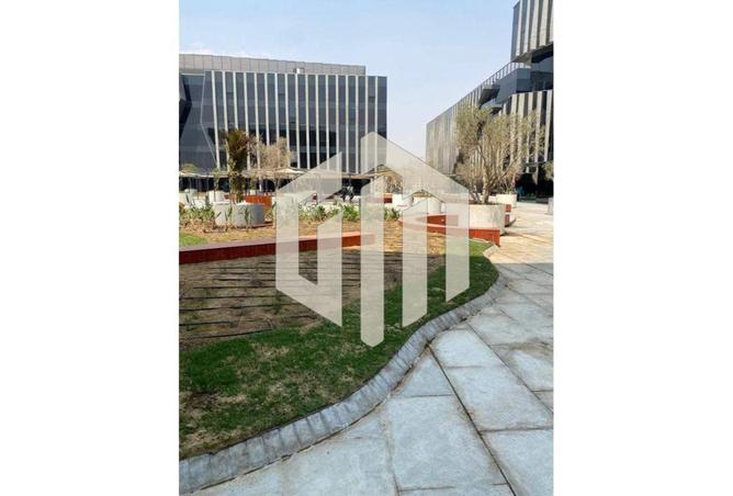 8298625 - Property Image 3