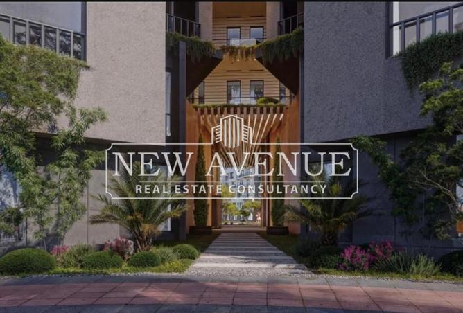 8184594 - Property Image 3