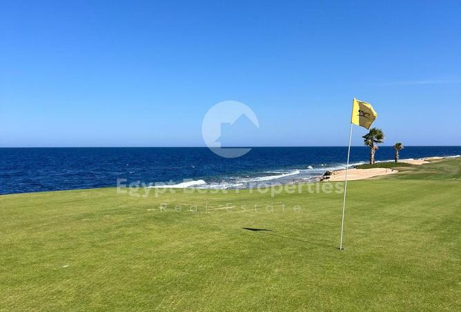 8419681 - Property Image 3