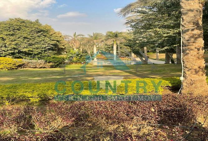 8249770 - Property Image 3