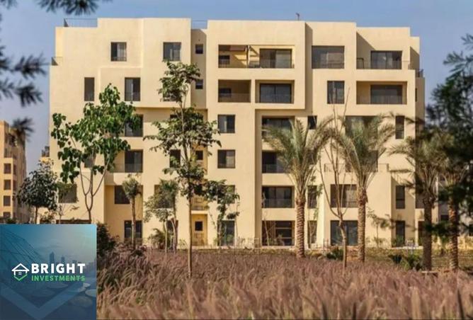 8181791 - صورة العقار 2