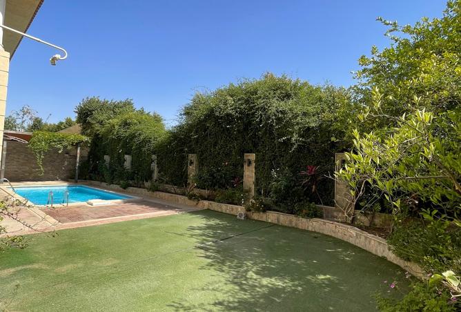 7949713 - صورة العقار 3