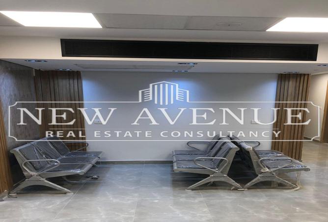 7976264 - Property Image 3