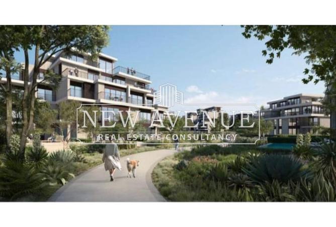 8082339 - Property Image 2