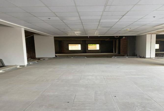 8029172 - Property Image 3