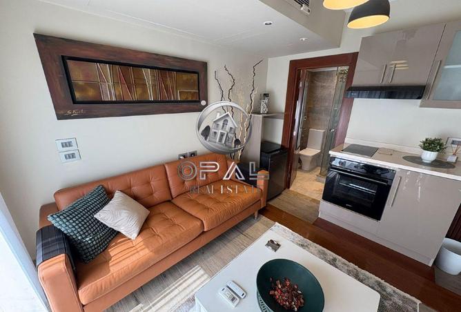 8213081 - Property Image 3