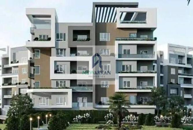 8245490 - Property Image 3