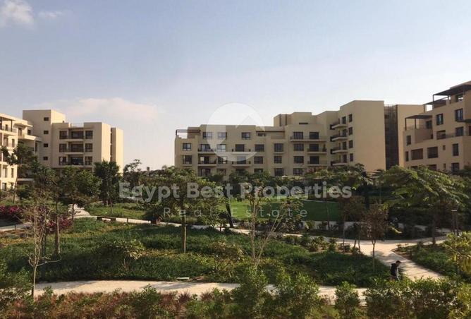 8354510 - الصورة الرئيسية للعقار