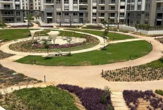 8134756 - Property Image 3