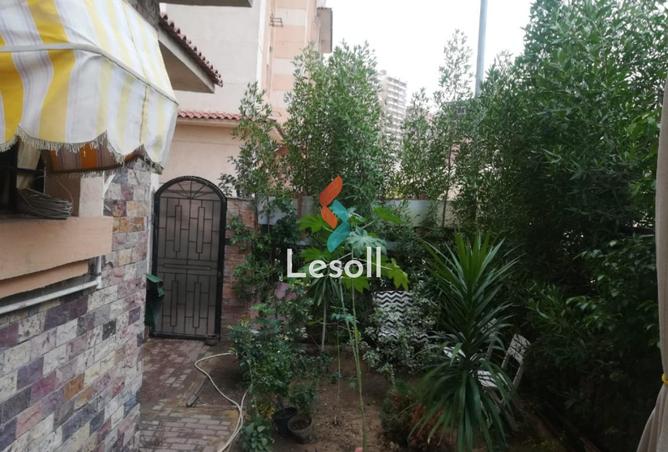 8174476 - Property Image 3