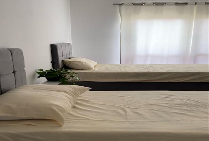 7974058 - Property Image 3