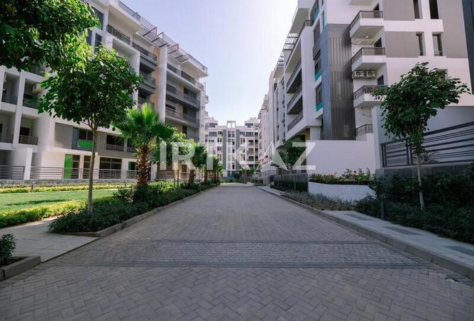 8023163 - Property Image 3