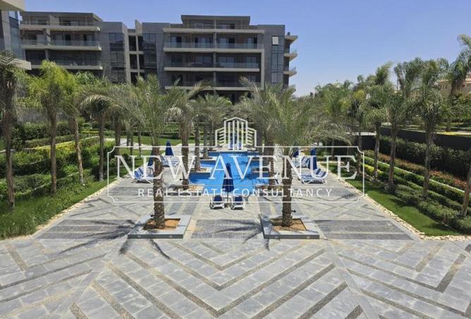 8363257 - Property Image 3