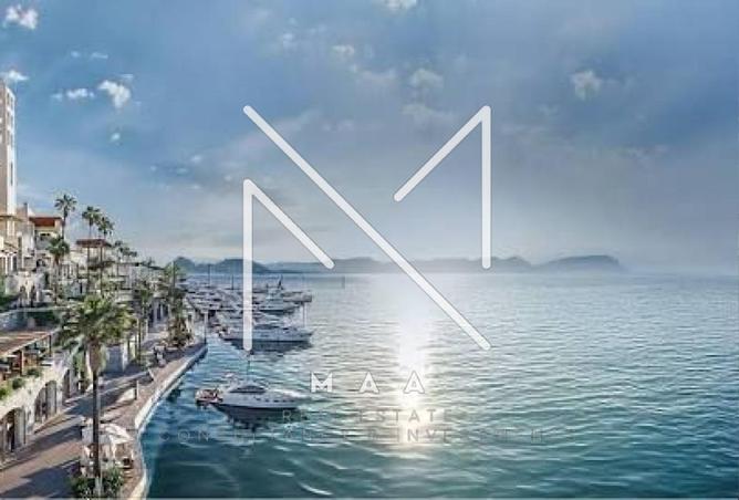 8391272 - Property Image 3