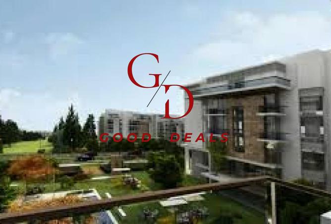 8429916 - Property Image 3