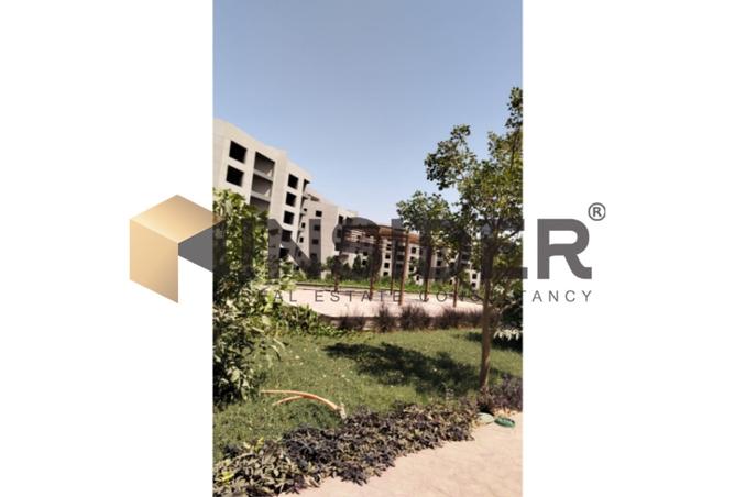 8051732 - صورة العقار 3