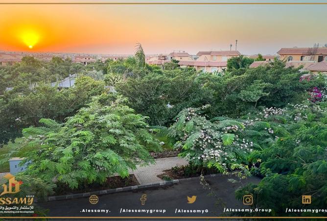 8334076 - Property Image 3