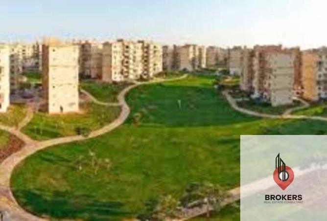 8206953 - صورة العقار 2