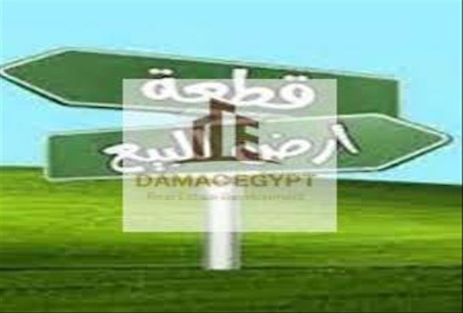 7981667 - الصورة الرئيسية للعقار