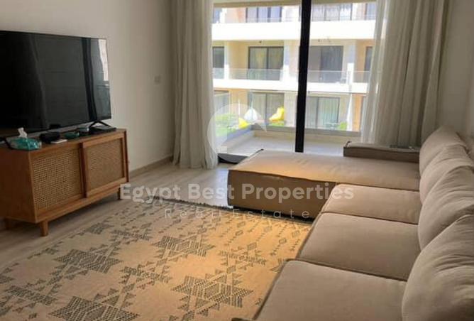 8203712 - Property Image 3