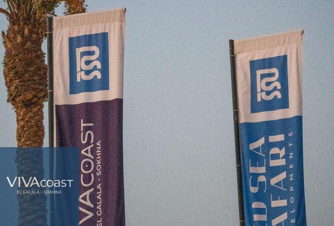 8196343 - Property Image 3