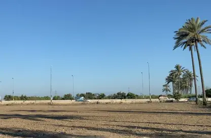 قطعة أرض - استوديو للبيع في الطريق الساحلى الدولى - المتراس - الورديان - حي غرب - الاسكندرية