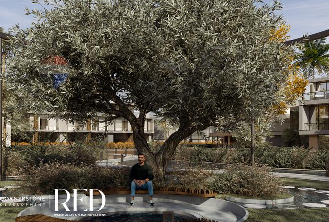 7520721 - صورة العقار 3