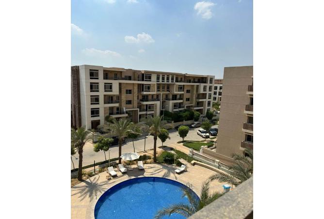 7989676 - Property Image 3