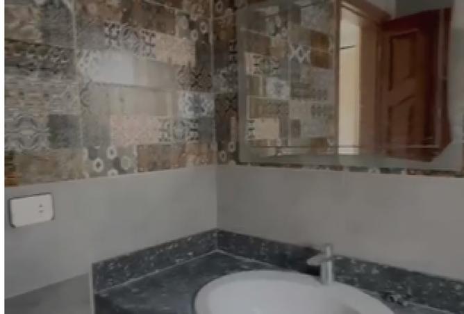 8520600 - Property Image 2