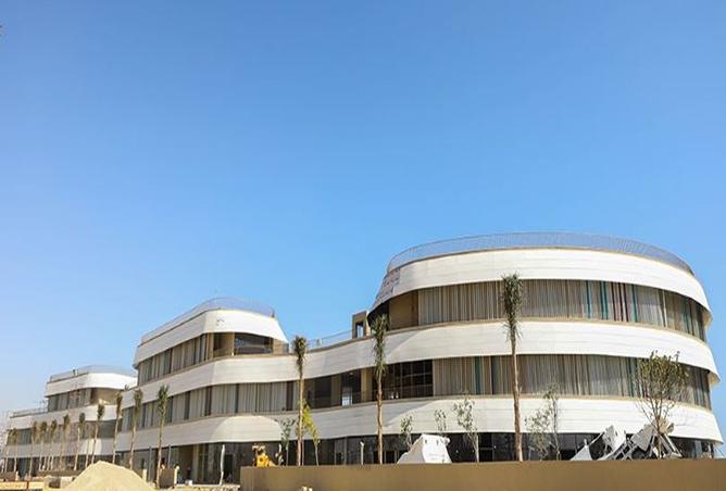 8183956 - Property Image 2