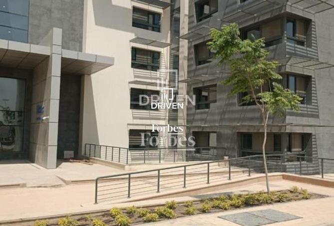 8033862 - Property Image 3