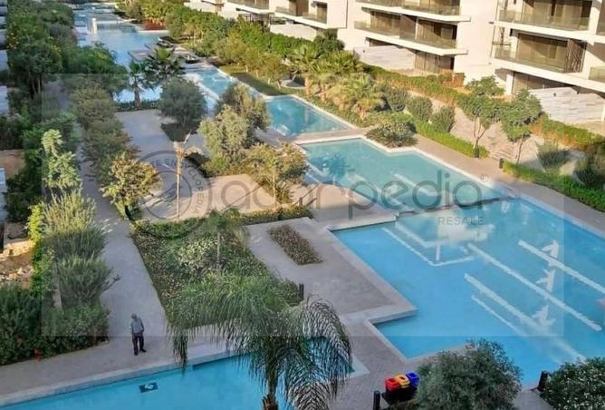 8197065 - Property Image 3