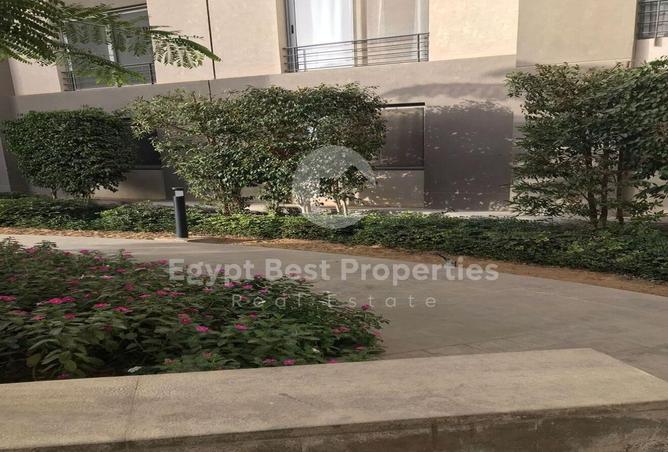 8377094 - Property Image 2