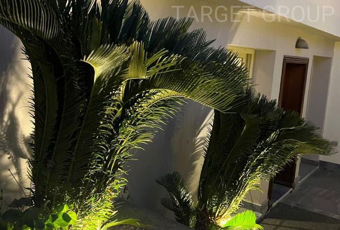 8237291 - Property Image 2