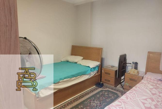 8092487 - Property Image 3