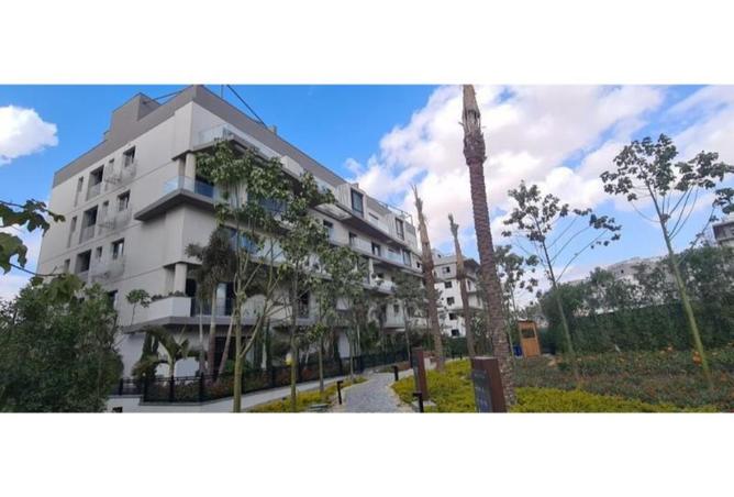 8240335 - صورة العقار 3