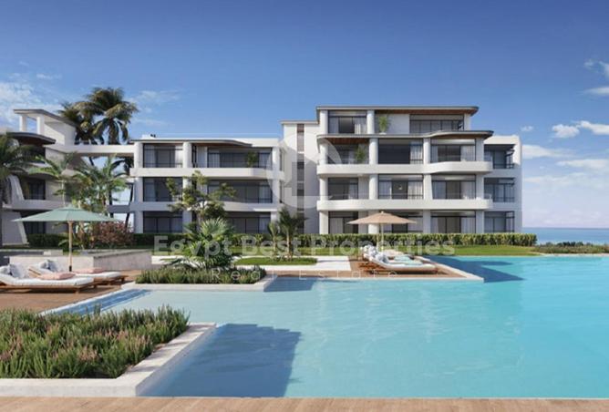 8031081 - Property Image 3