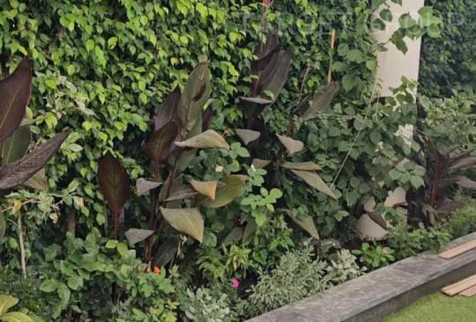 8520137 - Property Image 3