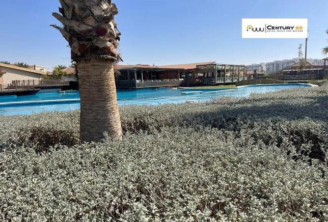 6823999 - Property Image 3