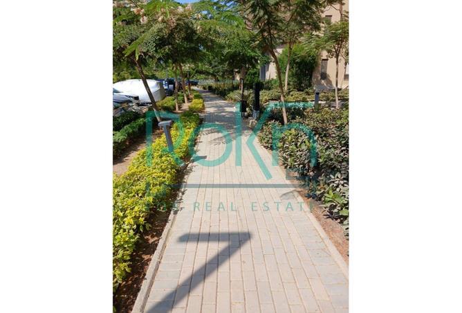 8044212 - Property Image 3