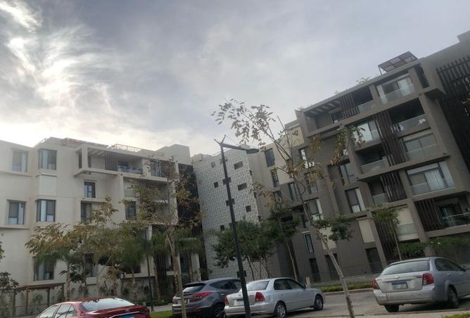 7901216 - صورة العقار 2