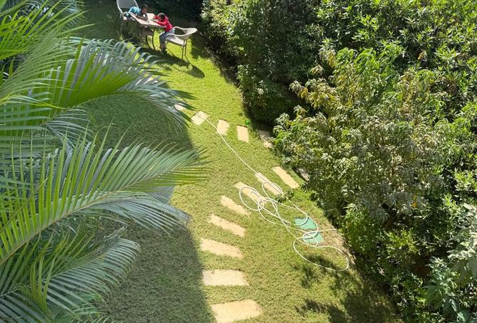 8273251 - صورة العقار 3