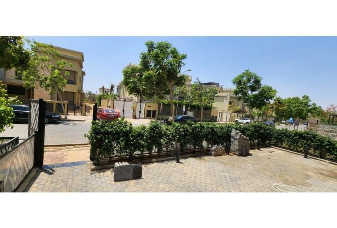 8006315 - Property Image 3