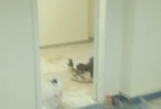 8145005 - Property Image 2
