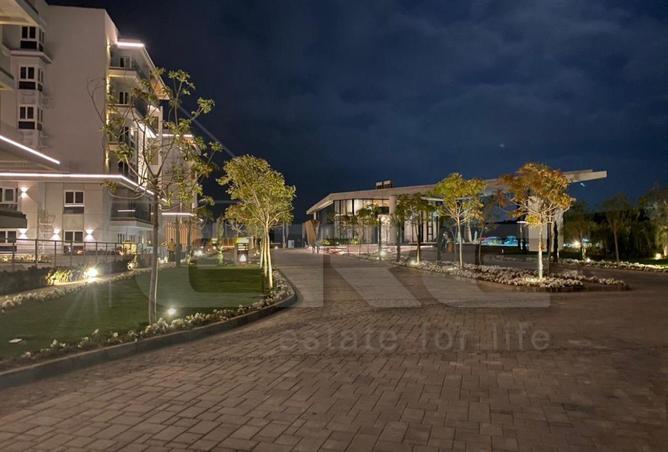 8207992 - صورة العقار 3